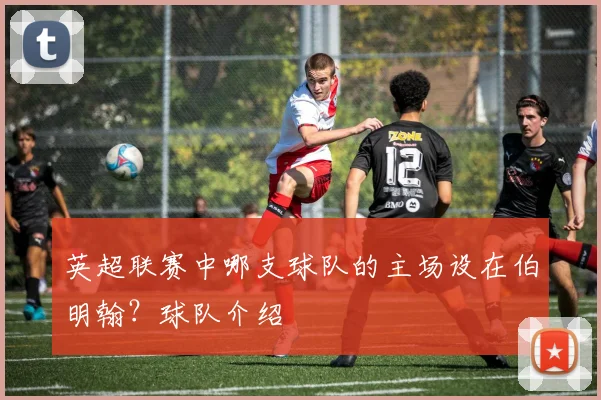 英超联赛中哪支球队的主场设在伯明翰？球队介绍